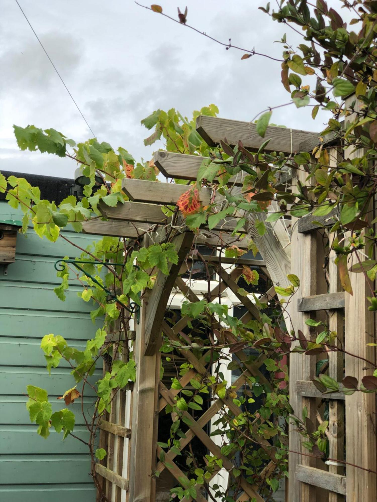 Owly 'Ouse Bed & Breakfast Barnstaple Exterior photo